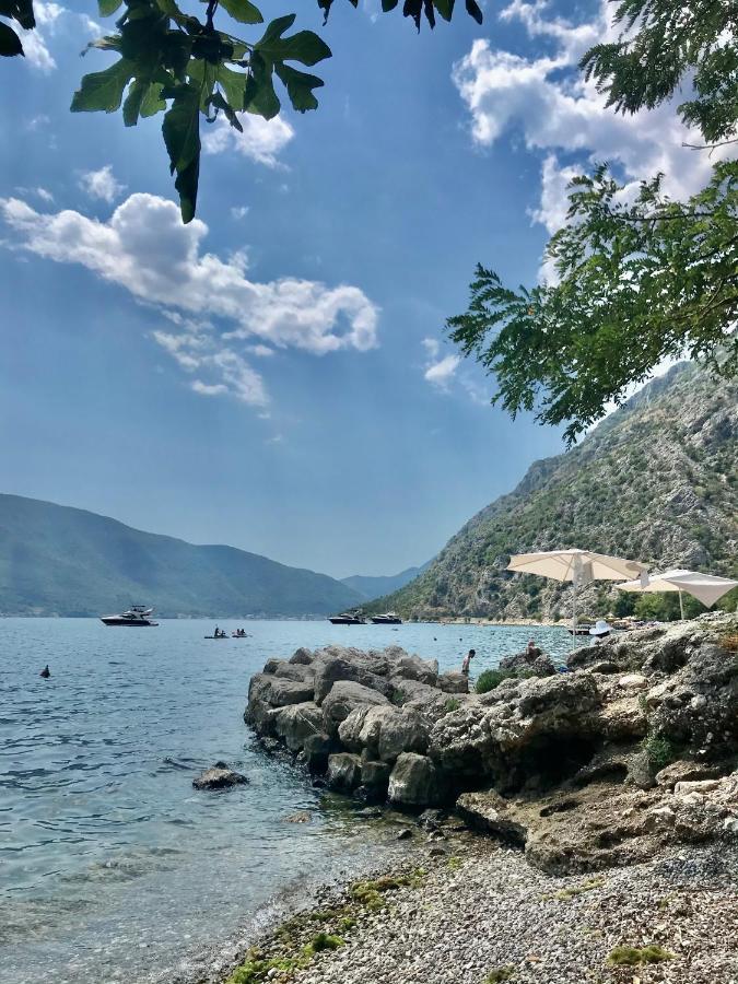 Lemon Tree Villa Κότορ Εξωτερικό φωτογραφία