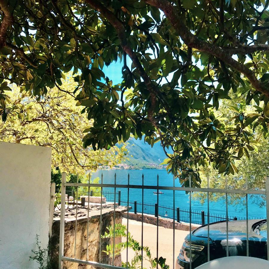 Lemon Tree Villa Κότορ Εξωτερικό φωτογραφία