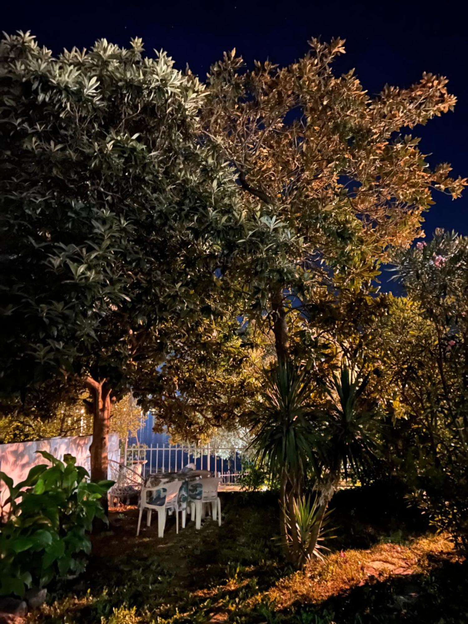 Lemon Tree Villa Κότορ Εξωτερικό φωτογραφία
