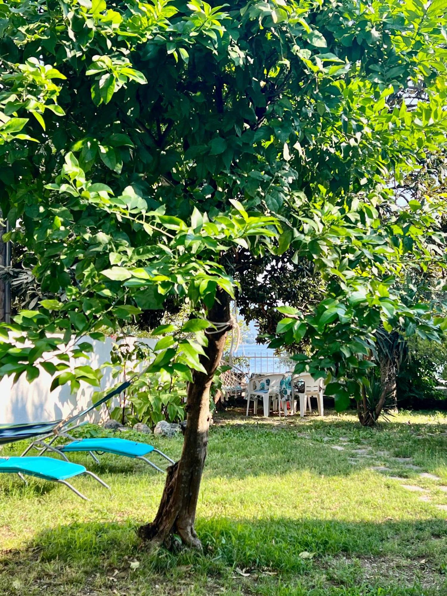 Lemon Tree Villa Κότορ Εξωτερικό φωτογραφία
