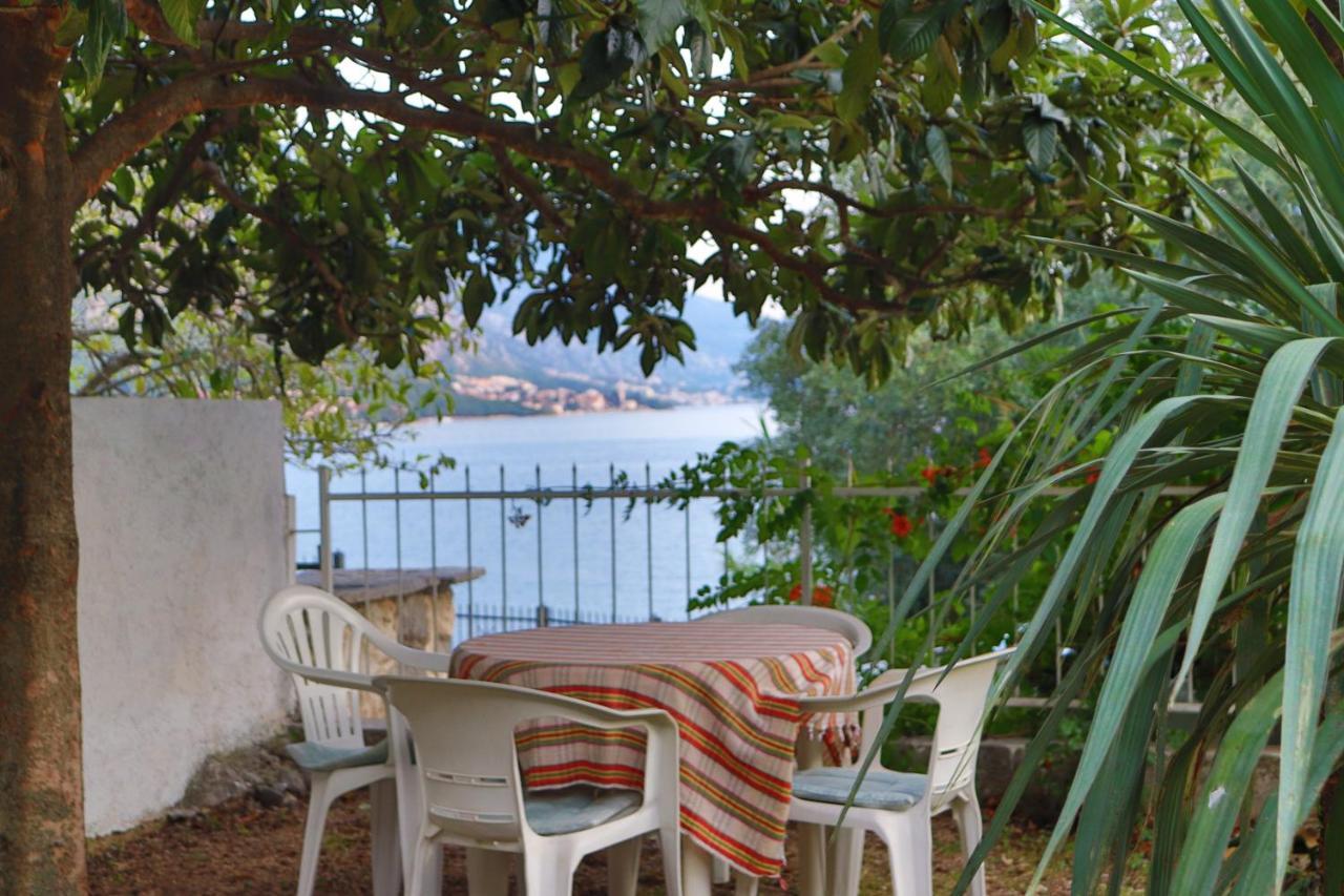 Lemon Tree Villa Κότορ Εξωτερικό φωτογραφία